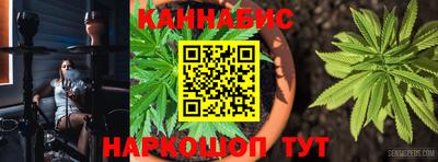 гидра Новокубанск