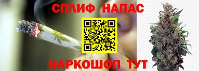 молекула духа Новодвинск