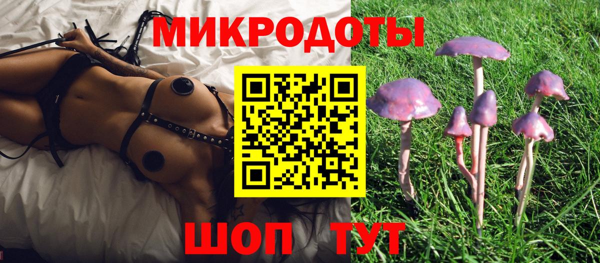Псилоцибиновые грибы Psilocybe  Вход с VPN  купить закладку  Усолье-Сибирское  Галлюциногенные грибы мицелий 